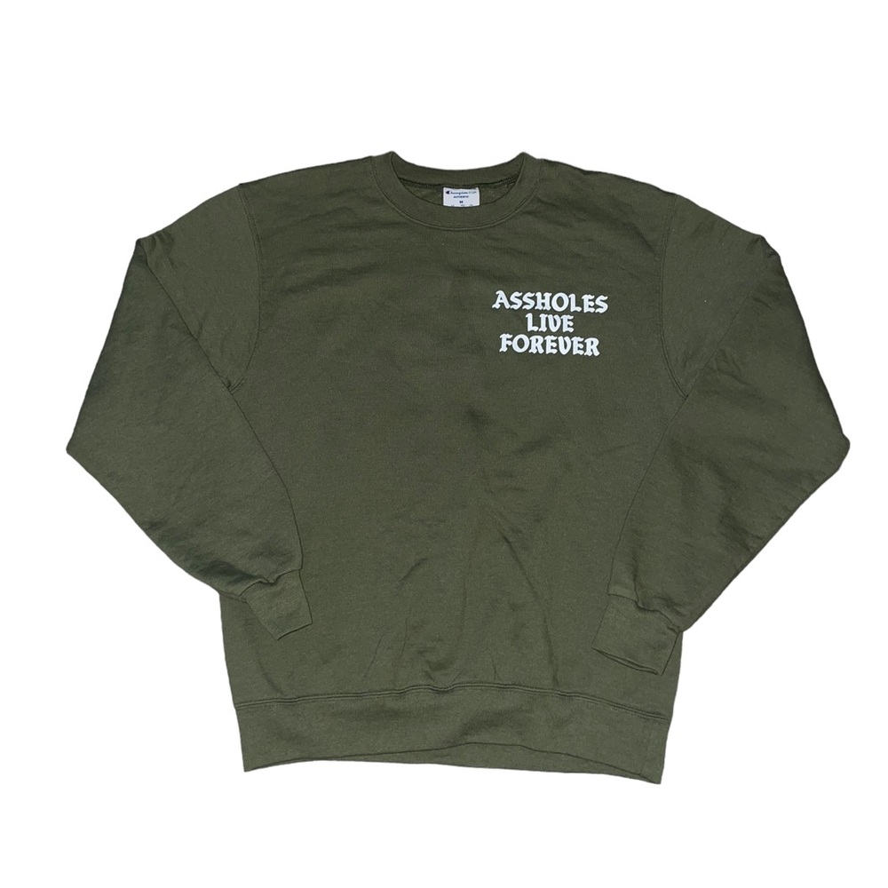 champion x assholes live forever green oversized crewneck sweatshirt sweater - Picture 3 of 5